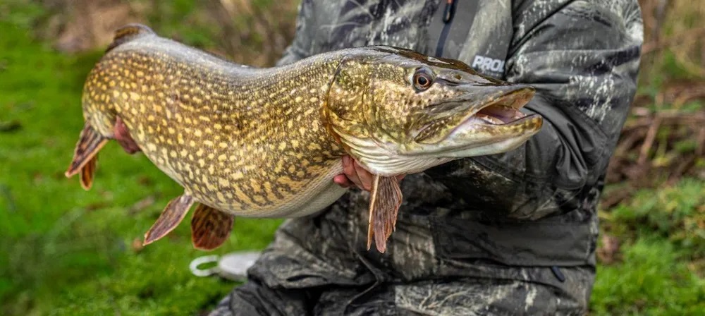 Comment Pêcher le Brochet aux Leurres - Carnassiers - Avec Mick Brown