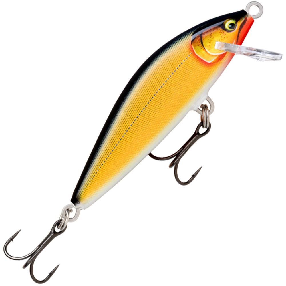 Gilded Gold Shad