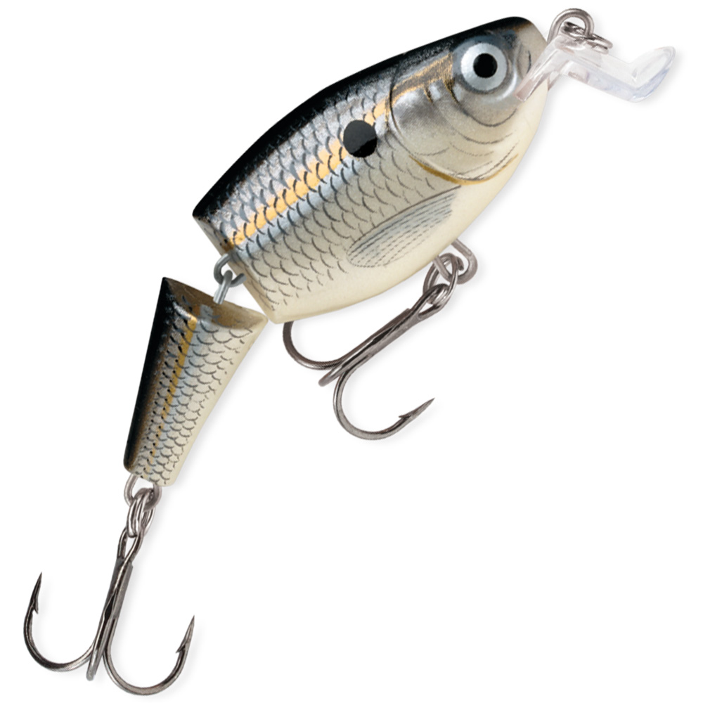 Silver Shad