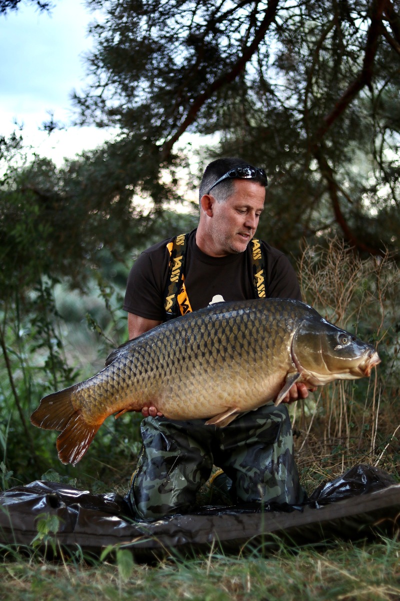 Carpes en Saison d'Autumn 